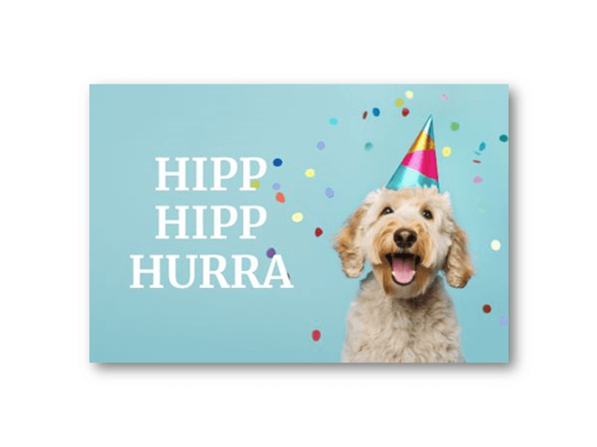 Hovedbilde Hipp hipp hurra