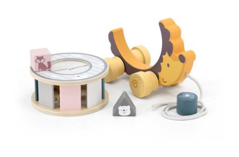 PolarB Hedgehog With Sorting Wheel